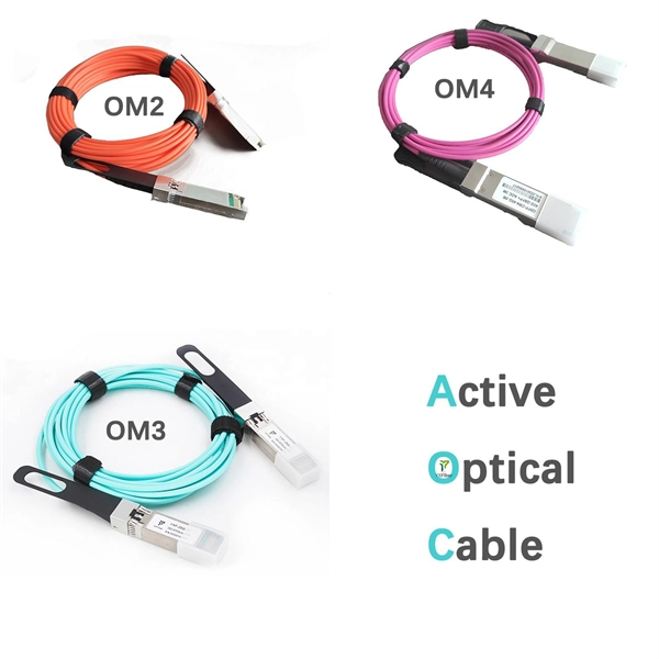 Main and West Asian branches of the cable