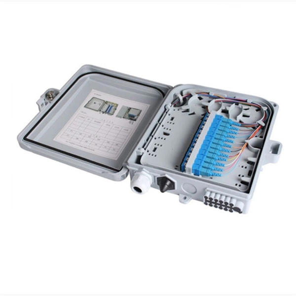 What is a dual-core optical module used for