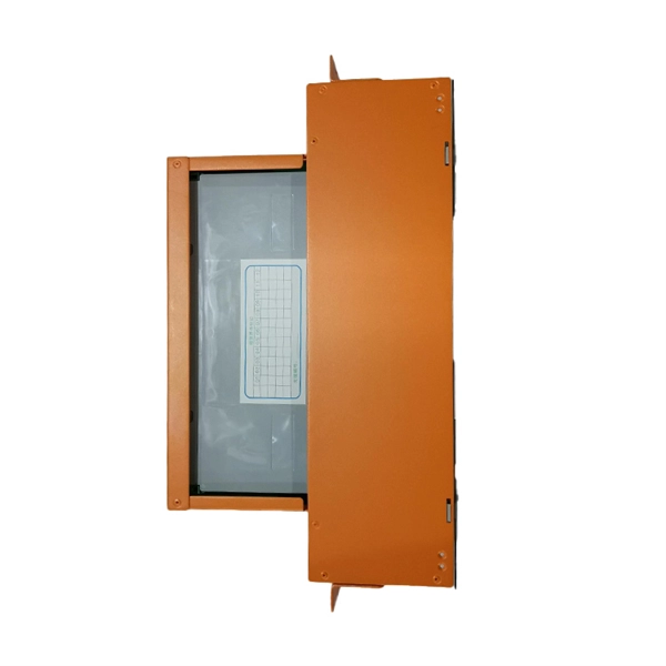 Optical module DWDW band