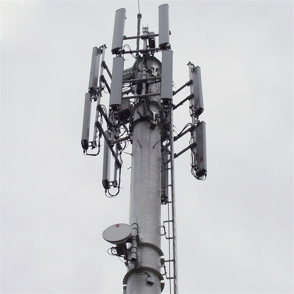 How high is the wall-mounted fiber distribution box from the ground