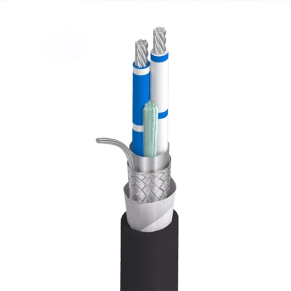 Are there any C-type optical modules available for purchase