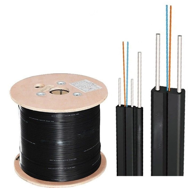 Experimental Images of Fiber Optic Voltage Sensing