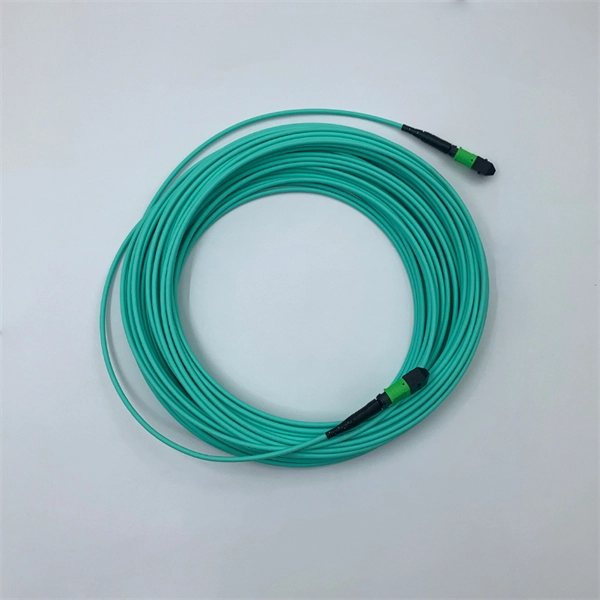 Card-type cable tray fixing