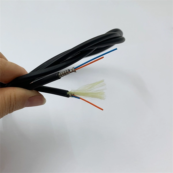 220V Battery Storage Cabinet for IoT Use