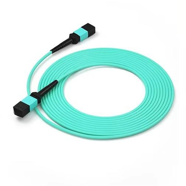 Connect the fiber optic cables to switches at both ends