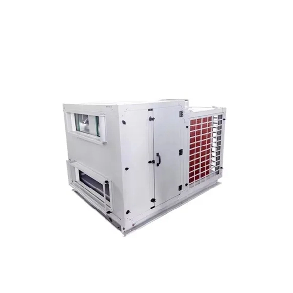 Philippine Distributor Fiber Optic Enterprise Router 10G